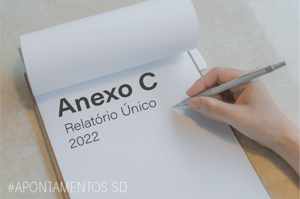 Anexo C - Relatório Único 2022